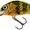 Gold Fluo Perch