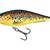 Executor 7 Shallow Runner Trout
