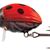 Lil Bug 3 Floating Ladybird