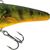 Chubby Darter Sinking - New Colors Supernatural Hot Perch