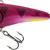 Chubby Darter Sinking - New Colors Purple UV Perch
