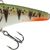 Chubby Darter Sinking - New Colors Ice Perch